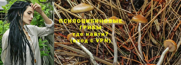 дурь Куйбышев