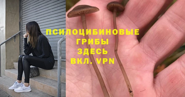 а пвп мука Кулебаки
