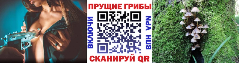 Псилоцибиновые грибы MAGIC MUSHROOMS  Темников 